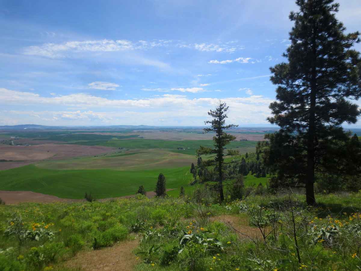 Kamiak Butte 